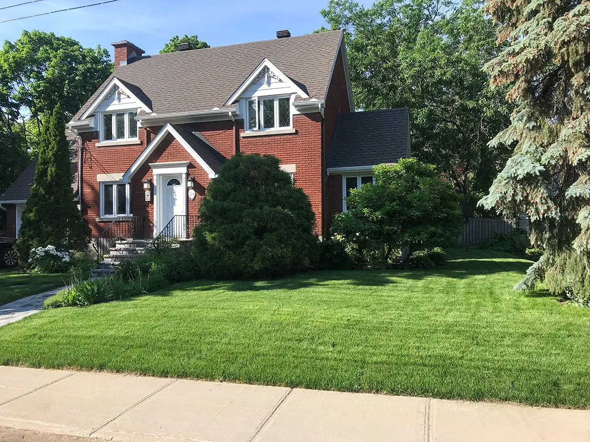 gopave pelouse 01 1920w